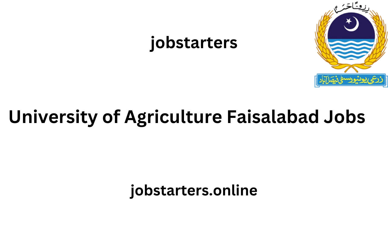 Latest Faisalabad jobs